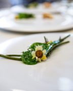 CSCI - Laboratorio sostenibilità