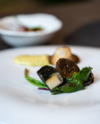 CSCI - Laboratorio sostenibilità