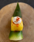 CSCI - Laboratorio sostenibilità