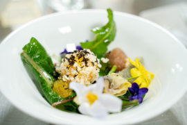 CSCI - Laboratorio sostenibilità