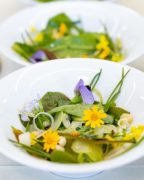 CSCI - Laboratorio sostenibilità